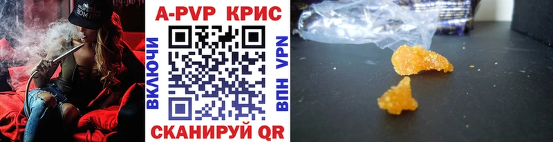 A PVP СК КРИС  Петропавловск-Камчатский 