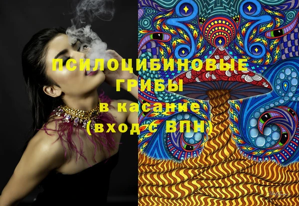 сатива Нефтекумск