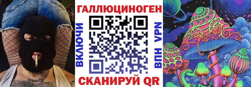 Галлюциногенные грибы Psilocybine cubensis Петропавловск-Камчатский
