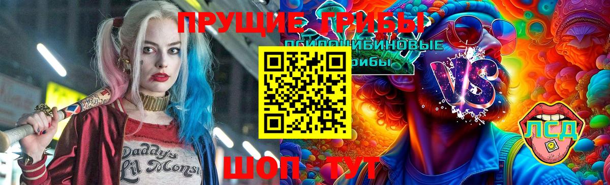 Петропавловск-Камчатский  Галлюциногенные грибы Psilocybe  Вход с VPN  Галлюциногенные грибы мухоморы 