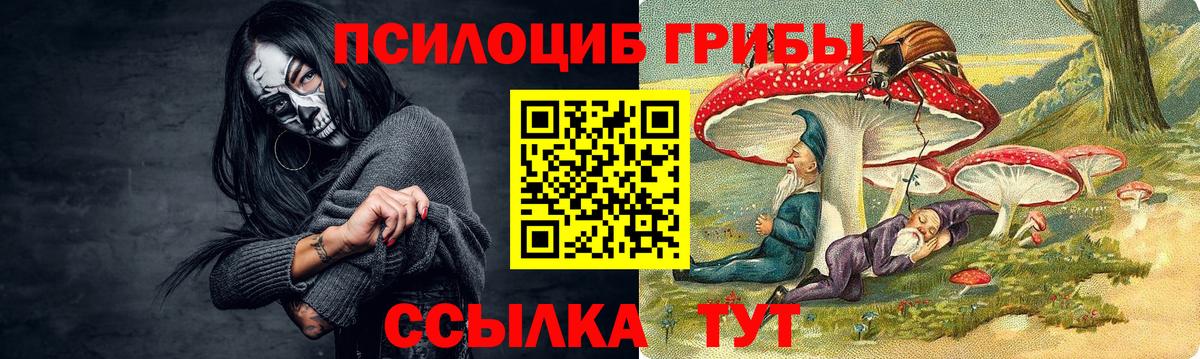 ГАШ Петропавловск-Камчатский
