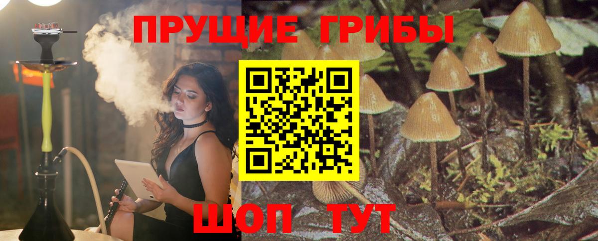 Галлюциногенные грибы ЛСД  Петропавловск-Камчатский 