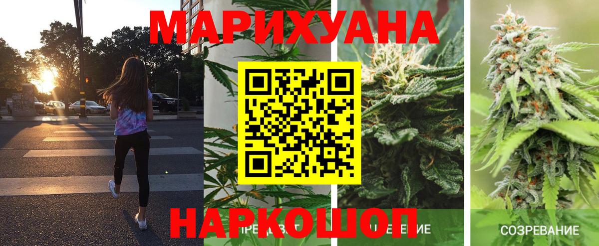 Петропавловск-Камчатский  МАРИХУАНА VHQ  Вход с VPN  Шишки марихуана план  Каннабис индика 